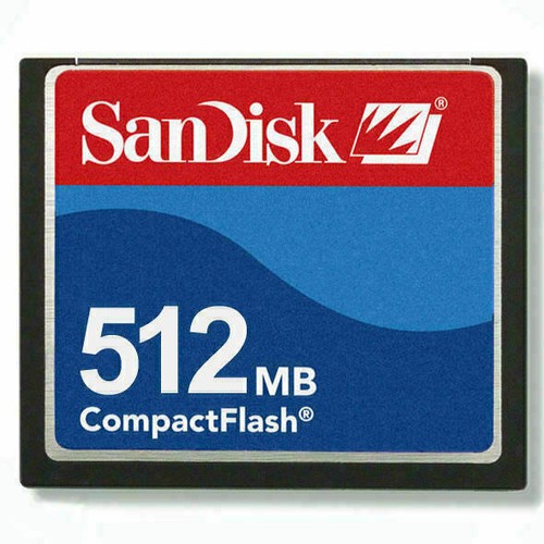 Scheda memoria sandisk - memoria,