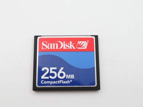 Sandisk compact flash 256mb - sandisk,