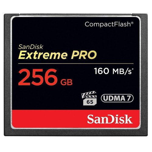 Scheda flash compatta sandisk - flash,